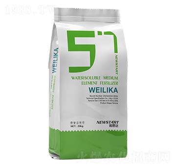 ΢���� �Z˼�_(d��)