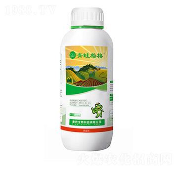 5%���S���� ���ܸ�� ��������