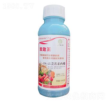 含氨基酸水溶肥 蒲公英農(nóng)業(yè)