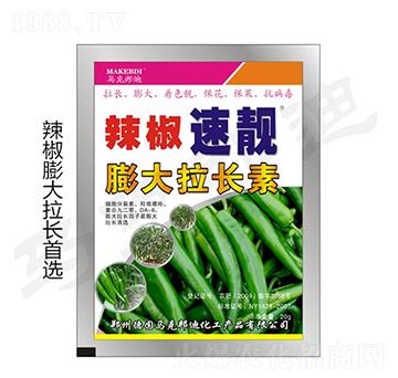 ��������������L��-���n-�R�˰��