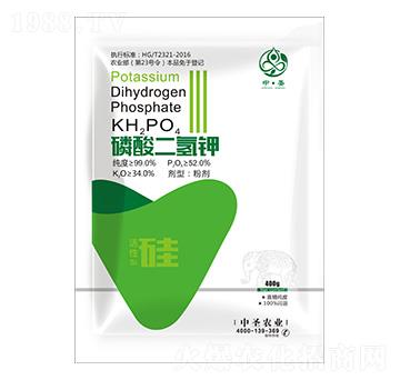 ��������-��ʥ�r�I(y��)