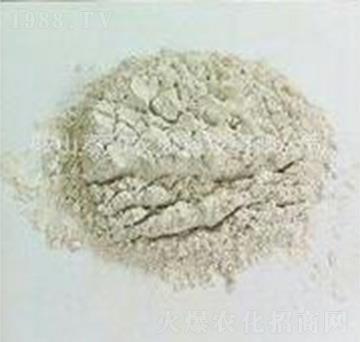 �����{(di��o)�턩-�ݸ����B(t��i)