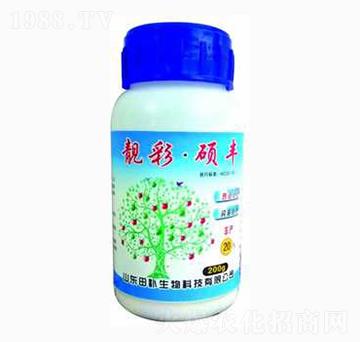 亮彩碩豐-田補(bǔ)