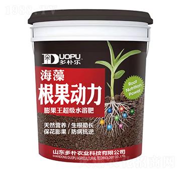 根果動力-富爾科技