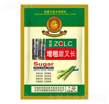 甘蔗增粗甜又長-暢瞬