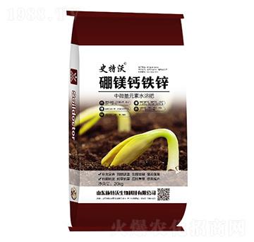 硼鎂鈣鐵鋅-史特沃-施特沃