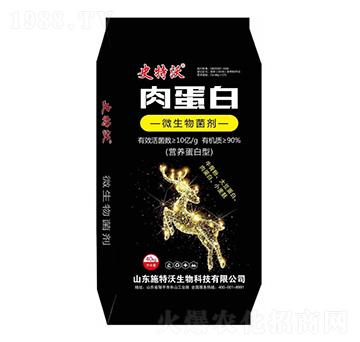 10�|�⵰��΢�������-ʷ����-ʩ����