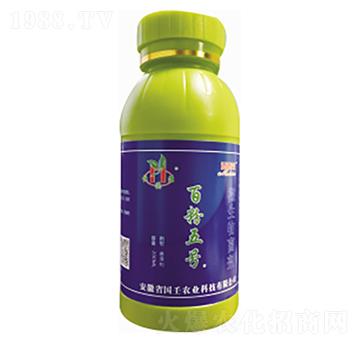 �ٷ���̖(h��o)-�~��ɭ-�����r(n��ng)�I(y��)