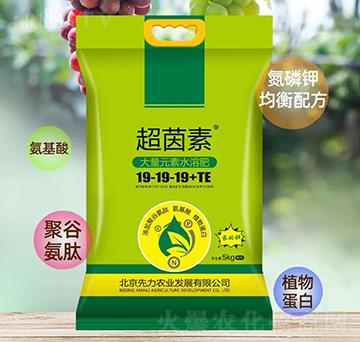 大量元素水溶肥19-19-19+TE-超菌素-錁鏹生物