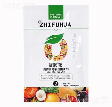 智服花100-200-240+TE-賽固特