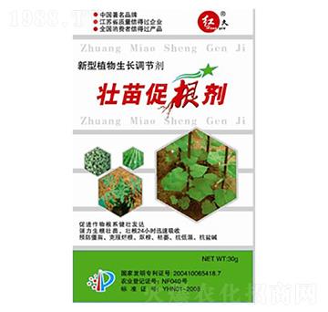 壯苗促根劑-匯豪農化