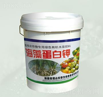 ���嵰���-���@����