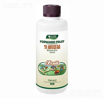 ���������-�S�A��-�S�A�ʘI(y��)