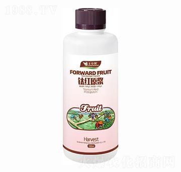 ⁼tԭ�{-�S�A��-�S�A�ʘI(y��)