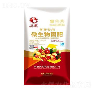 ��������΢�������-��ӯ����