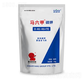 �߼���⛷�0-46-46+TE-�R����-������