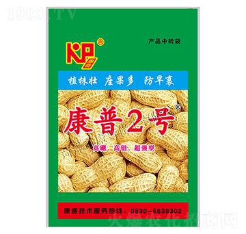 ����2̖(h��o)�M��-���ջ���