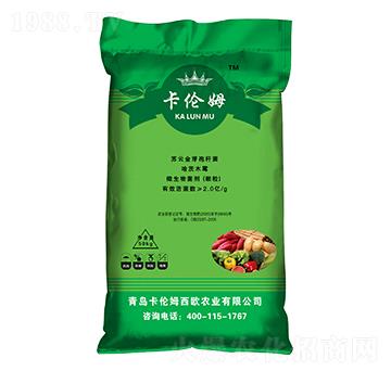 �����طN��-����ķ-���ݳ���