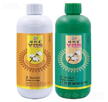 �޻���프�-�u�X������