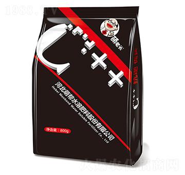 �����^-�Ȏ�