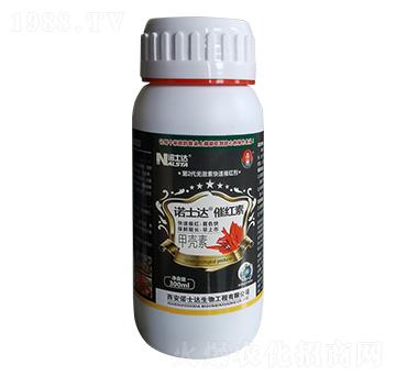 �߼t��-�Zʿ�_(d��)