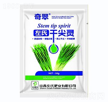 干尖靈-奇翠-左氏肥業(yè)