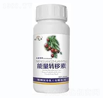 �������D(zhu��n)����-�h�滯