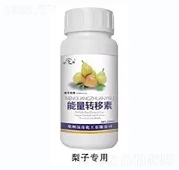 ���������D(zhu��n)����-�h�滯