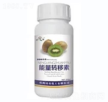 �J���������D(zhu��n)����-�h��