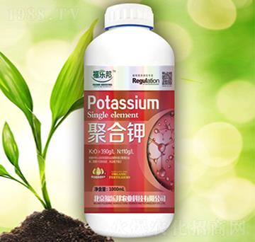 �ۺ��-������