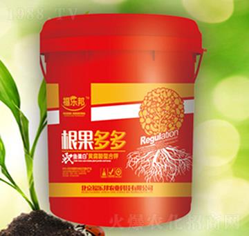 �������-����(l��)��