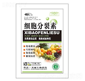 ��(x��)��������-������