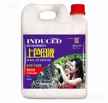 上色母液-金田豐