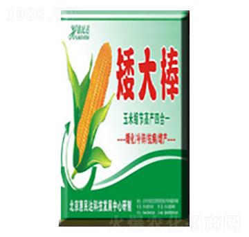 葉面肥料-矮大棒-惠民達(dá)