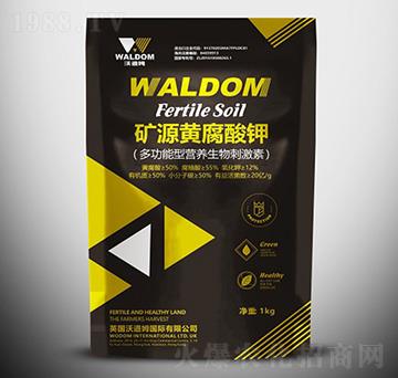 �VԴ�S�����-�ֵ�ķ