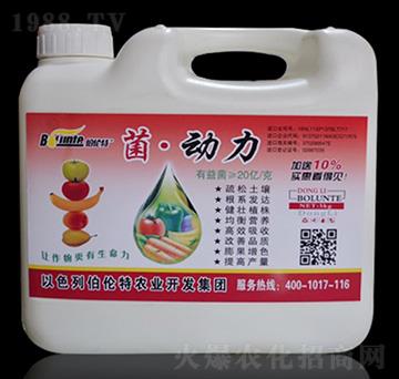 ������-������