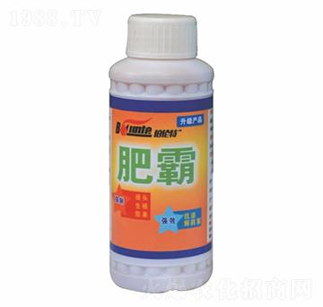 �ʰ�-������