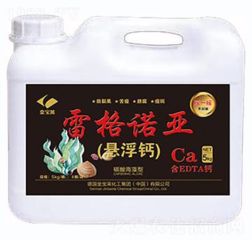 �׸��Z�����Ҹ��}-��ȶ�