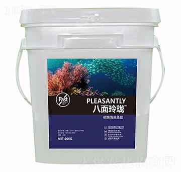 �����ᭇ-������