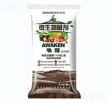 ΢�������-�����r(n��ng)�I(y��)