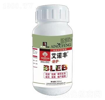 ���Z�S���o-�٘���