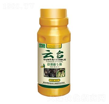 ʳ�þ�����-���_