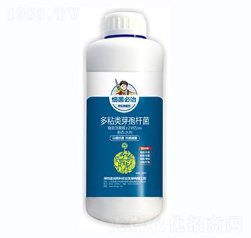 多粘類芽孢桿菌-細(xì)菌必治-盛潤(rùn)高科