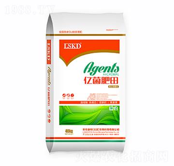 �|������-�R�˿��D