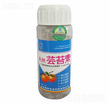 ��Ȼ�|̦��-���A�r�I(y��)