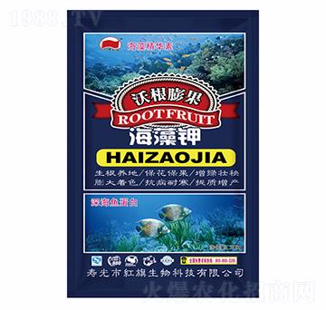 �ָ���������-�t������