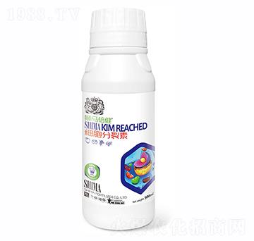 細胞分裂素500ml-獅馬肥業(yè)