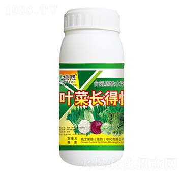 葉菜長得快-綠熙-威士萊德