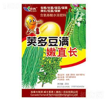 莢多豆?jié)M嫩直長(zhǎng)（袋裝）-綠熙-威士萊德