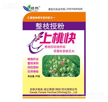 整枝授粉上桃快-綠熙-威士萊德